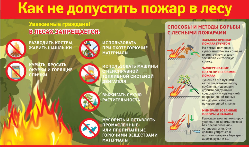 берегите лес.jpg берегите лес.jpg